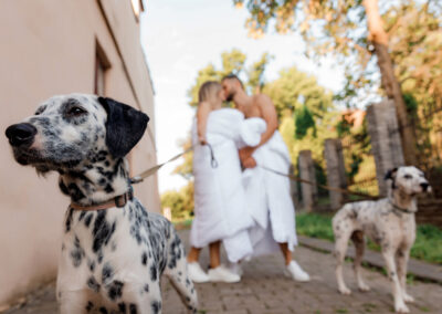 musica para bodas sevilla novios con perros